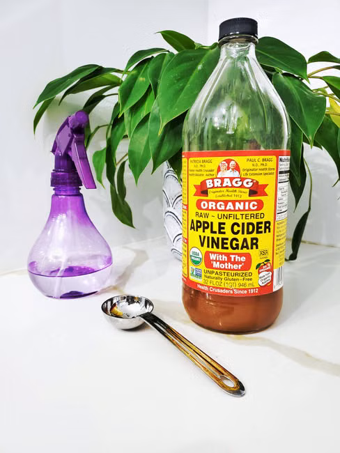 Óleo de Soja (900ml)